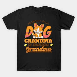 Promoted From Dog Grandma To Human Grandma T-Shirt